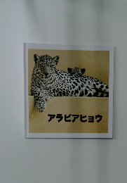 アラビアヒョウ