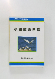 小田原の自然