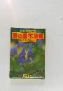 野の草花図鑑　上・下　2巻セット