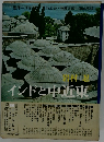 インドと中近東
