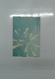 美しい時間　冬の花火　