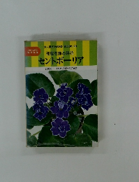 部屋を飾る鉢花  セントポーリア