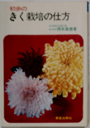 きく栽培の仕方