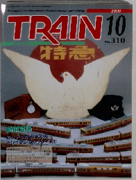 TRAIN 10 no.310