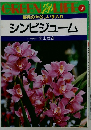 シンビジューム