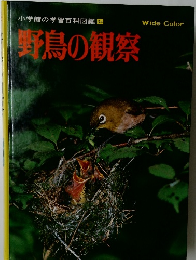 小学館の学習百科図鑑 34 野鳥の観察