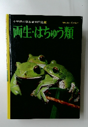 小学館の学習百科図鑑 36　両生・はちゅう類