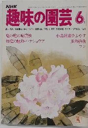 NHK趣味の園芸 6