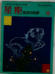星座 夜空の四季