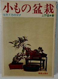 小もの盆栽  仕立て方のコツ