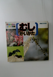 かんさつとしいく図鑑　むしのかいかた　