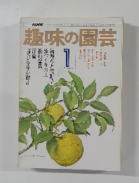 NHK趣味の園芸　1977年1月号