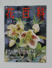 花時間　2004年12／16号