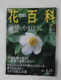 花百科　66　2005年6/23号