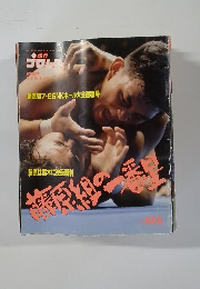 プロレス 1998　8/11