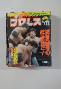 プロレス　No.468　12/17
