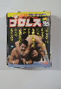 週刊プロレス　1991年7月号　No.444