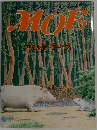 MOE  1990年6月号