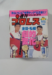 週刊プロレス　6/11