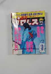 週刊プロレス　No.734　6/4