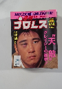 週刊プロレス　5/9-16