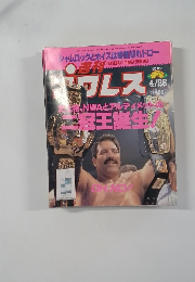 週刊プロレス　NO.666
