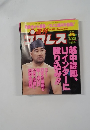 週刊プロレス　No.713　1/23