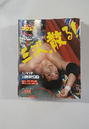 週刊 プロレス　484