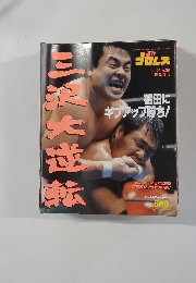 プロレス　No.454