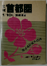 首都圏  1/10万 道路地図