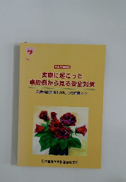 実際に起こった  事故例から見る安全対策　2008年度版