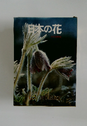 日本の花