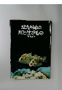 北九州市の川と生きもの