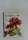 NHK趣味の園芸:作業12か月 シンビジューム