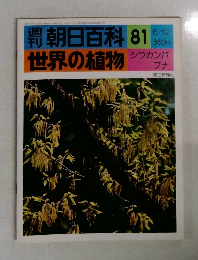 朝日百科　81　世界の植物　6/12号　シラカンバ  ブナ
