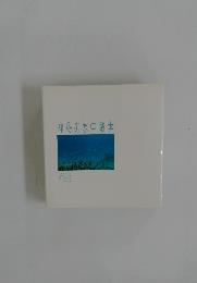 神秘の水中散歩