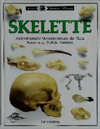 SKELETTE