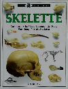 SKELETTE