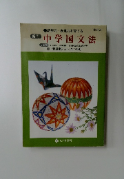新刊  中学国文法　