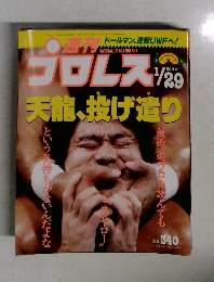 プロレス　No.417　1991年1月29日号