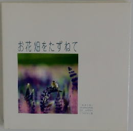 お花畑をたずねて