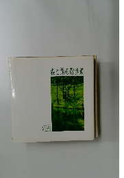 森と湖の散歩道