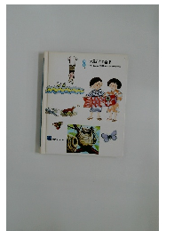 世界こども百科 8