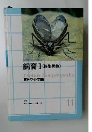 飼育Ⅰ(陸生動物)  Picture Encyclopedia  原色ワイド図鑑　11