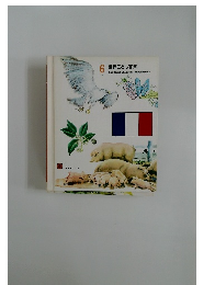 世界こども百科６