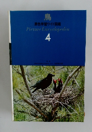 PictureEncyclopedia 4 