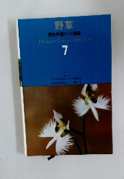 Picture Encyclopedia  7　