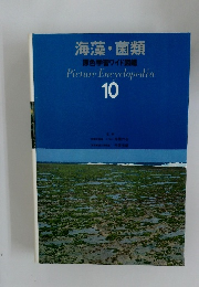 海藻・菌類  原色学習ワイド図鑑  Picture Encyclopedia  10