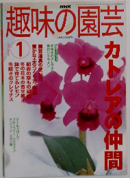 NHK 趣味の園芸　2002年1月号