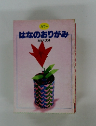 カラー はなのおりがみ